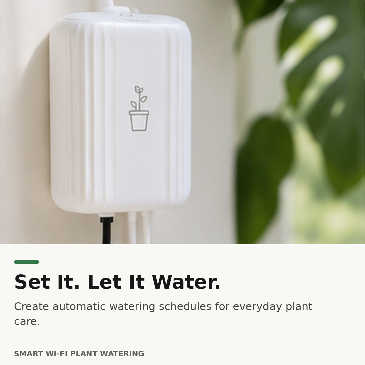 Automatic plant watering schedule for everyday care